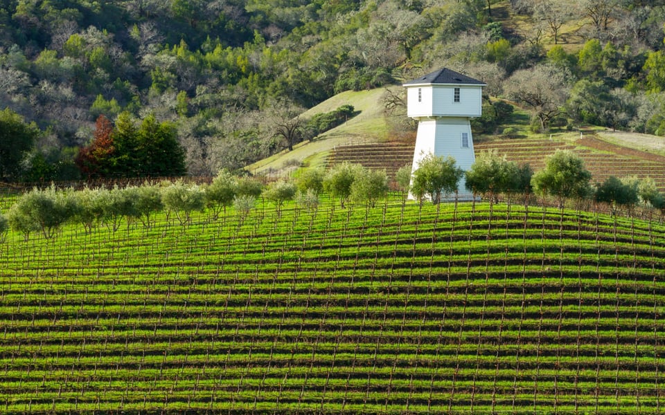 Geyserville | Neighborhood Guide
