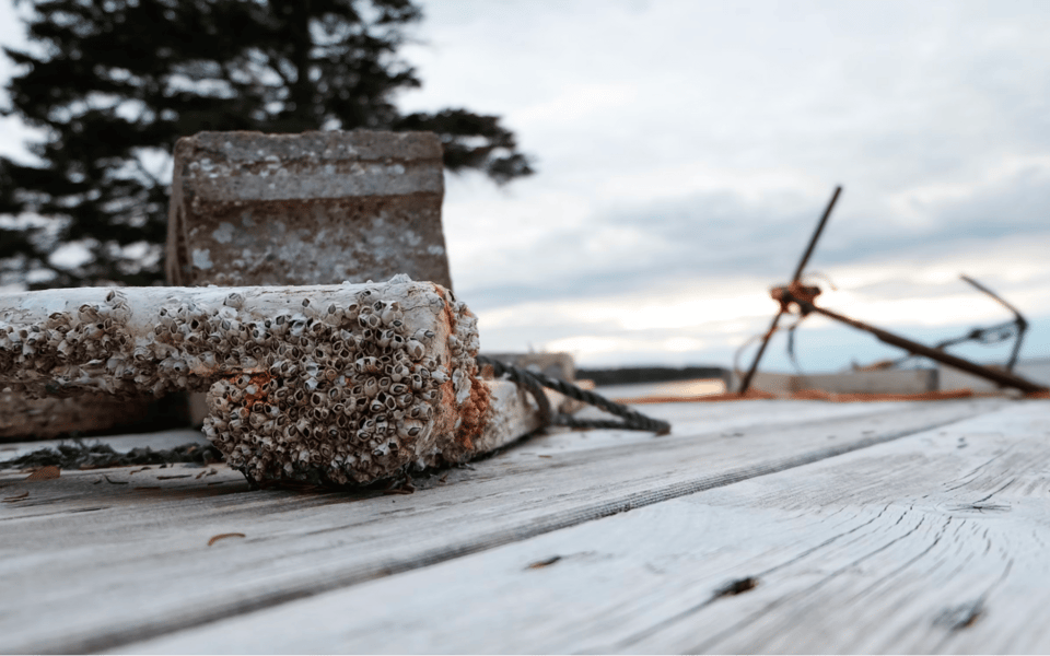 The Role of Shippan Point in Connecticut's Maritime History