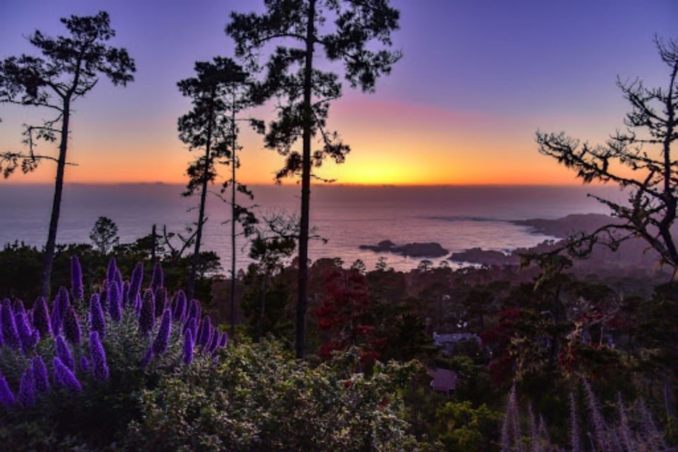 Best Views Around Carmel | Tim Allen Properties