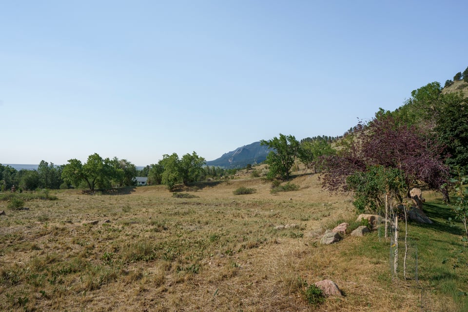 3735 Wild Plum Court