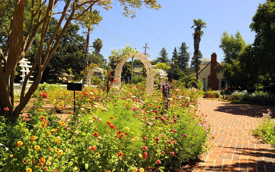 Santa Rosa, CA | Community Guide | Kaitlin Karkos