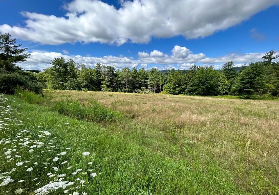 Alford, MA Real Estate: Homes, Condos & Apartments for Sale | SERHANT.
