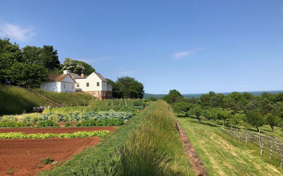 Charlottesville | Neighborhood Guide | Ann Hay Hardy