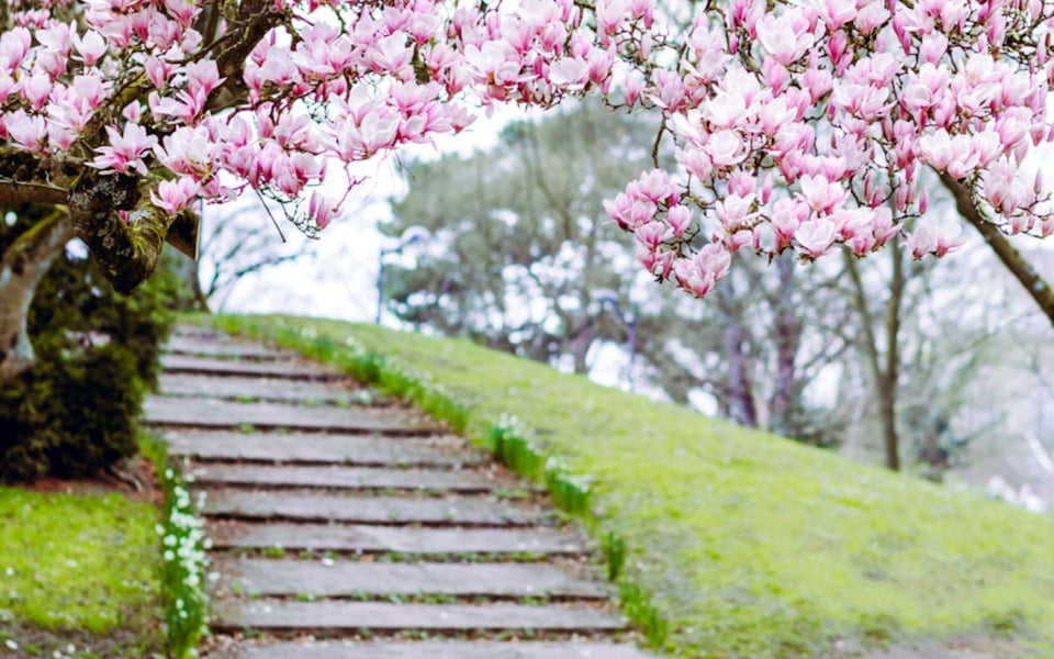 Discover Atlanta's Top 5 Spring Activities Now | Blog | The Agency Atlanta