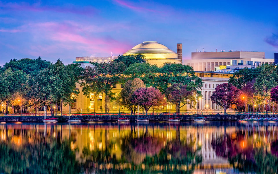 Area 2 / MIT | Neighborhood Guide
