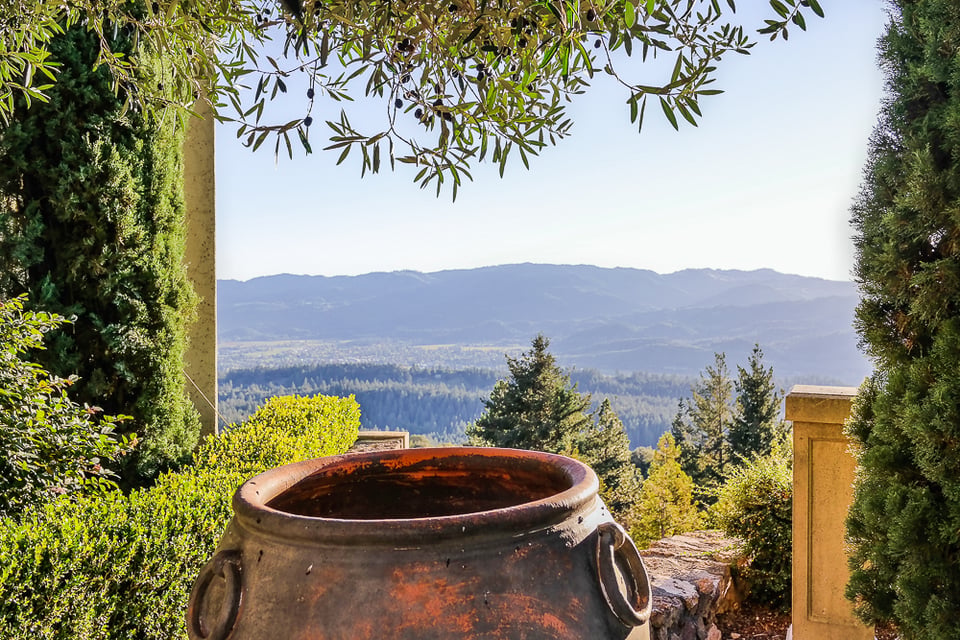 Angwin, CA Real Estate | Vineyard Estates & Homes For Sale