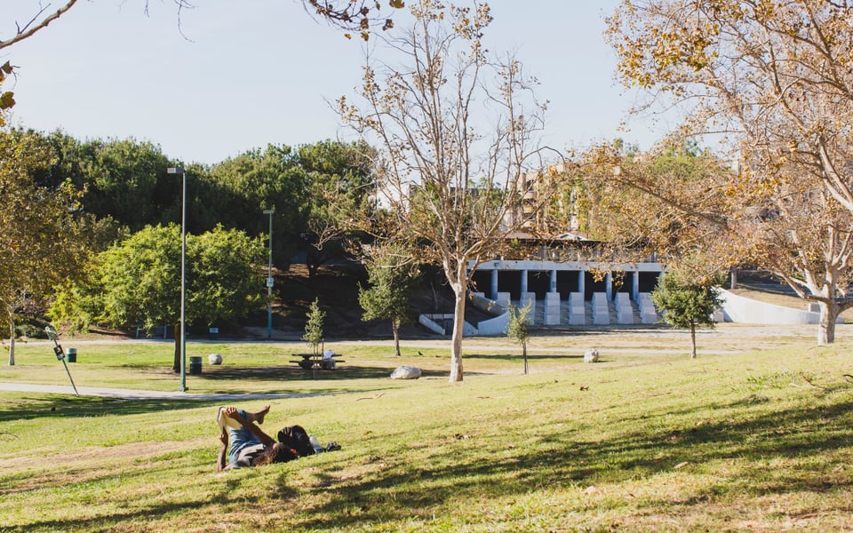 Hancock Park - Wilshire | Neighborhood Guide | Danelle Lavin | Beverly ...