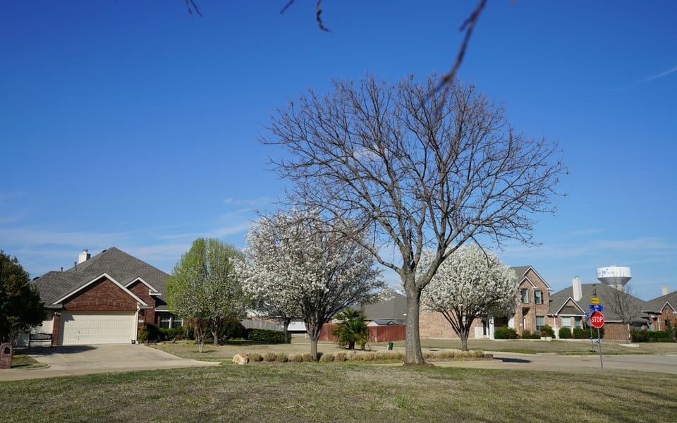 Wylie | Market Guide | Milestone Realty