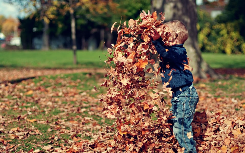 Prepare for Fall: Use This Checklist Now