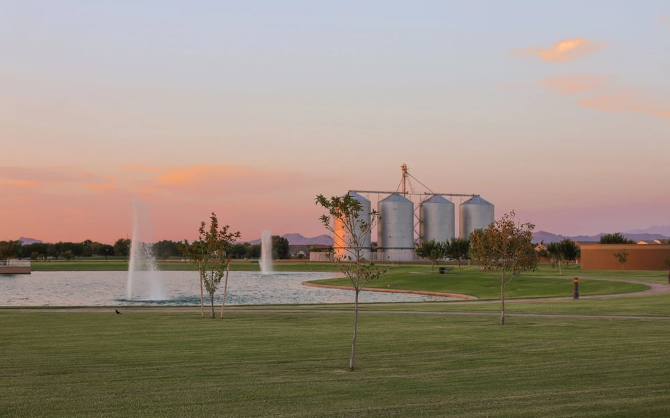 Morrison Ranch Gilbert AZ Real Estate | Martin & Hali