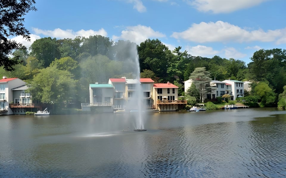 Waterview Cluster: Iconic Reston Neighborhood
