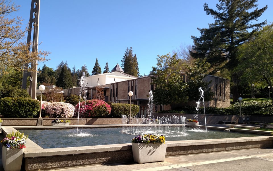 Angwin | Community Guide