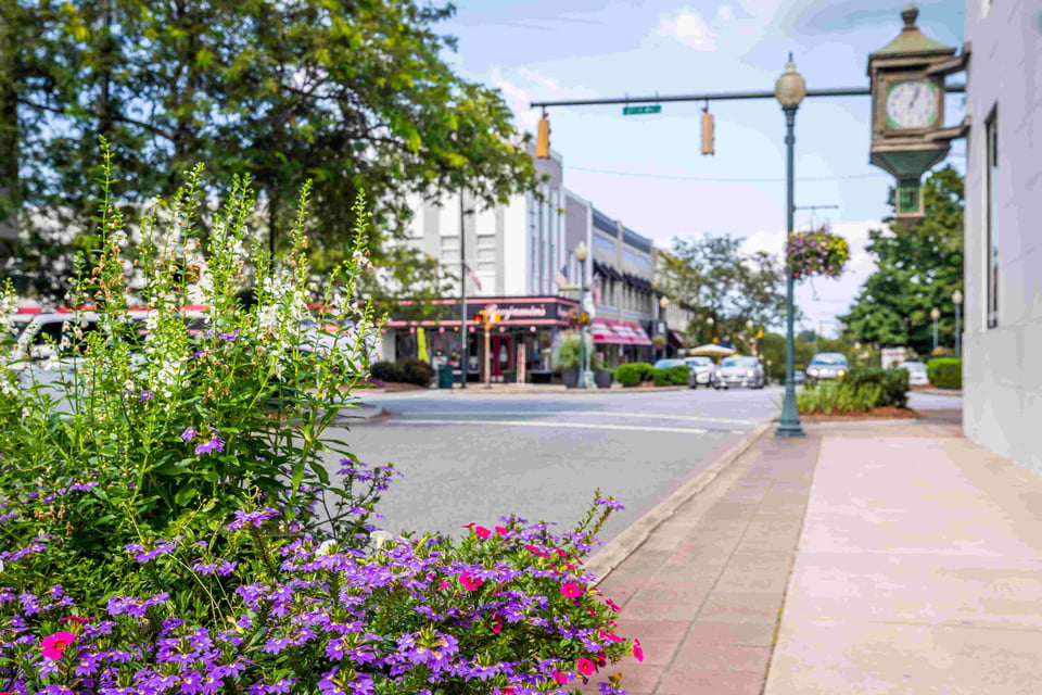Morganton | Neighborhood Guide | Nest Realty
