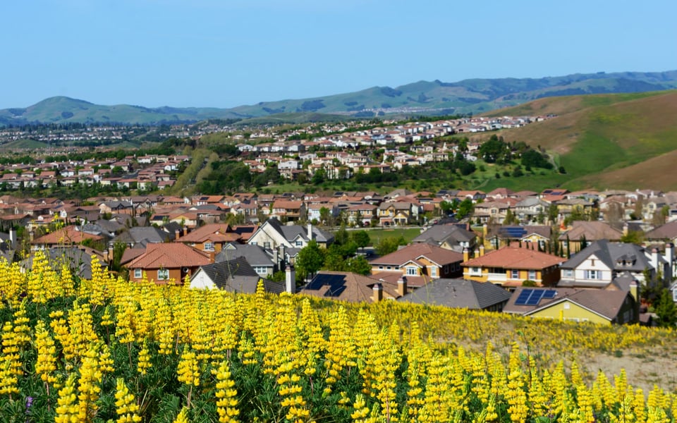 San Ramon | Neighborhood Guide | Jason Bleier
