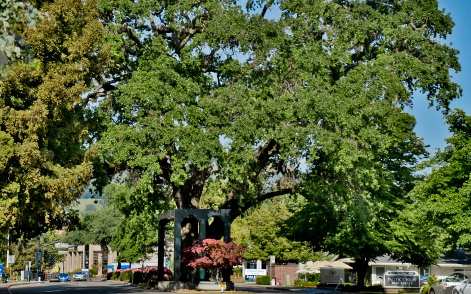 Danville community streetscape