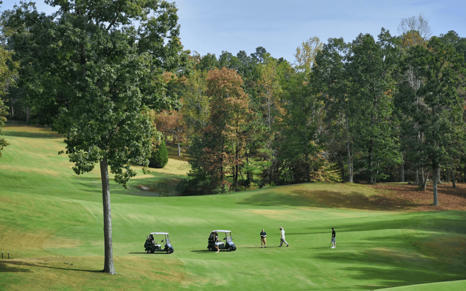 Things to Do in Cary, NC – Discover Top Attractions