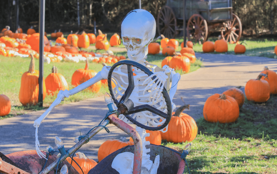 Fall Into Fun: Denver’s Best Festivals, Haunted Houses & Family Events ...