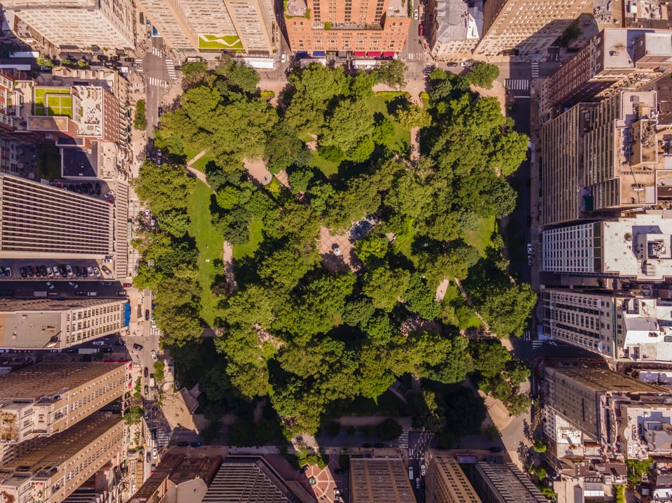 Rittenhouse Square | Neighborhood Guide | Arielle Roemer