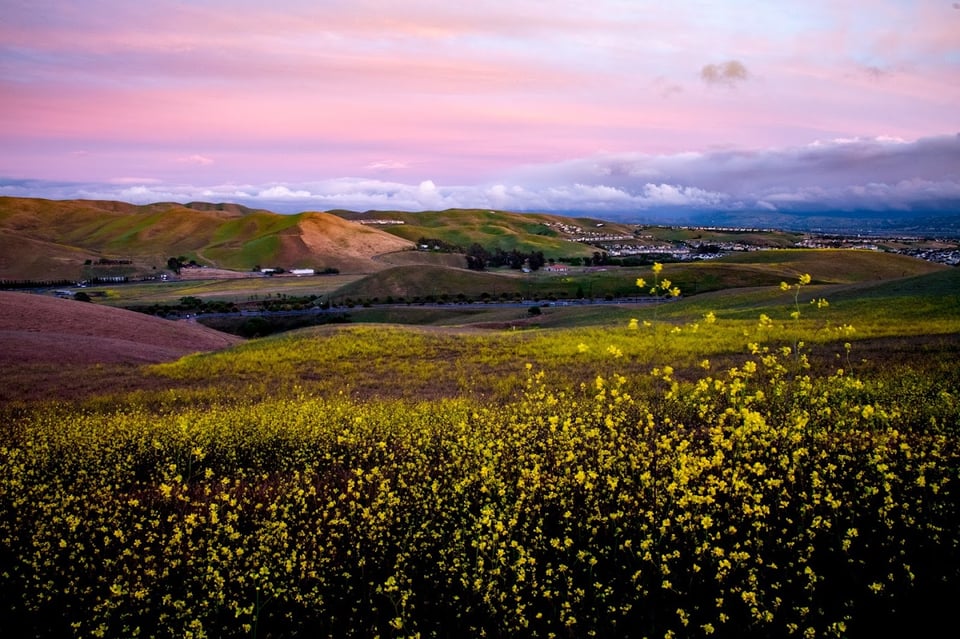 Top Hiking Trails in San Ramon: Scenic Routes, Spring Views & Local ...