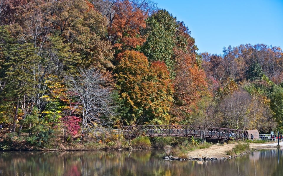 Springfield | Neighborhood Guide | Irvin Realty