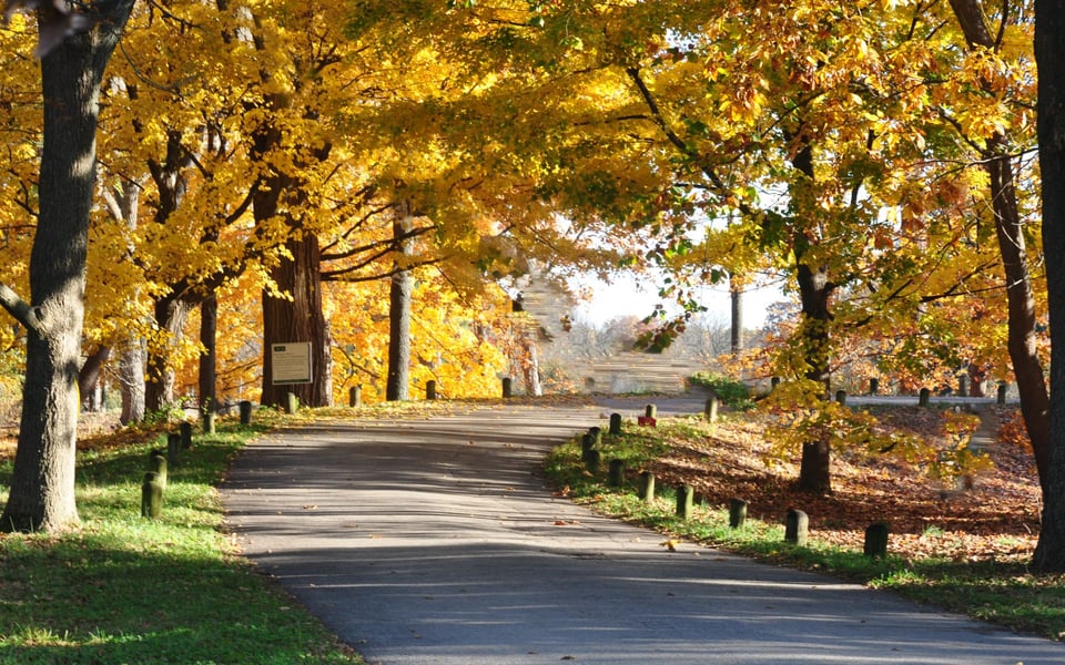 Lisle, Illinois | Neighborhood Guide | Chris Grano