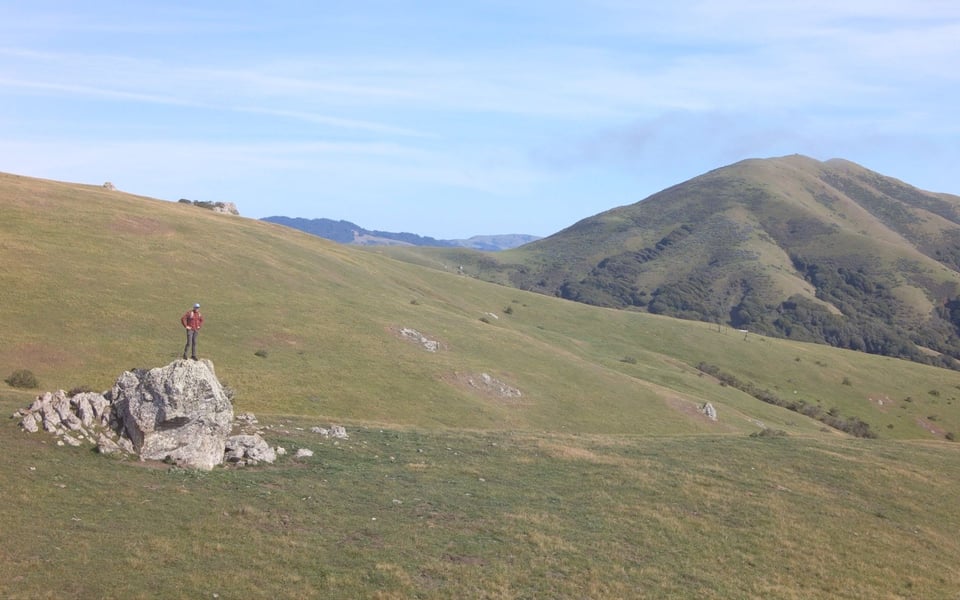 Martinelli Ranch | Peter Maselli