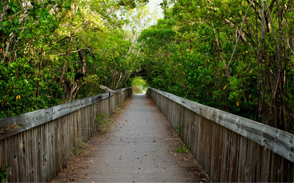 Discover Miami Beach's Best Hiking and Walking Trails