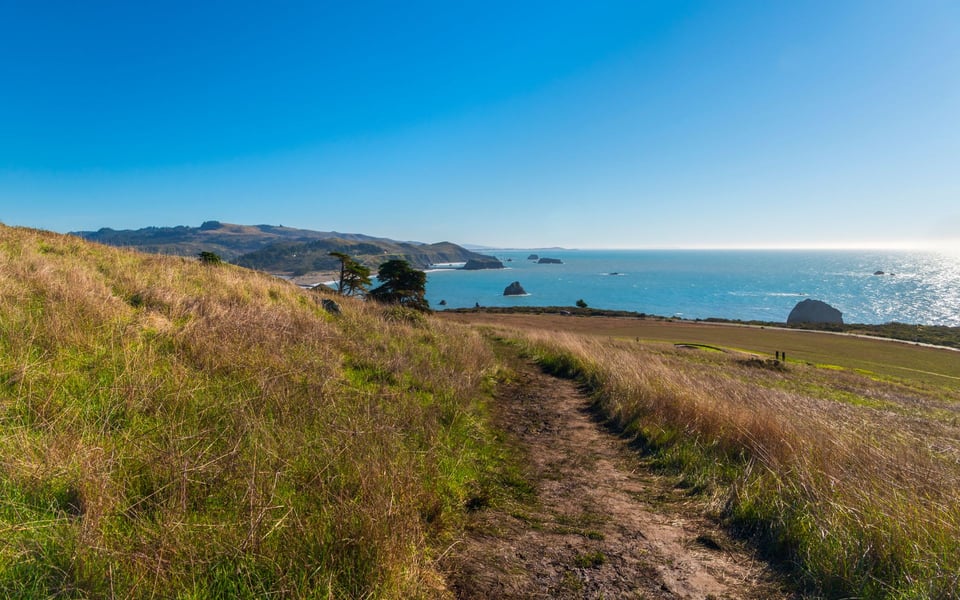 Discover Jenner Real Estate – Luxury Coastal Living