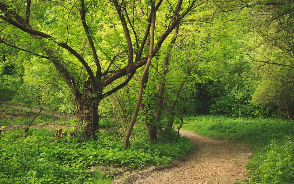 Garland Ranch | Neighborhood Guide | Truszkowski Freedman & Associates
