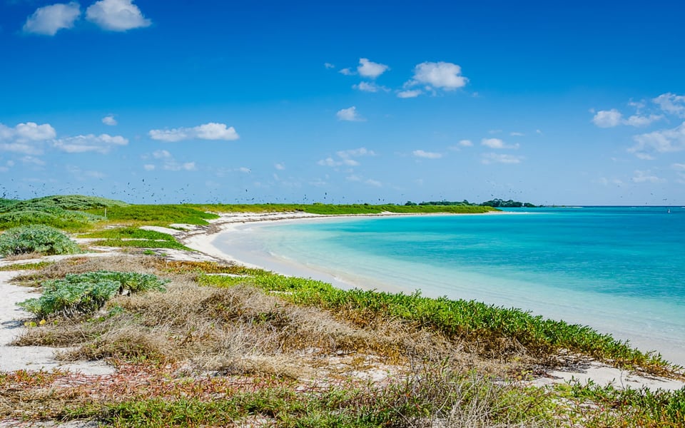 Bird Key Real Estate Sarasota – Discover Luxury Island Living | Debra ...