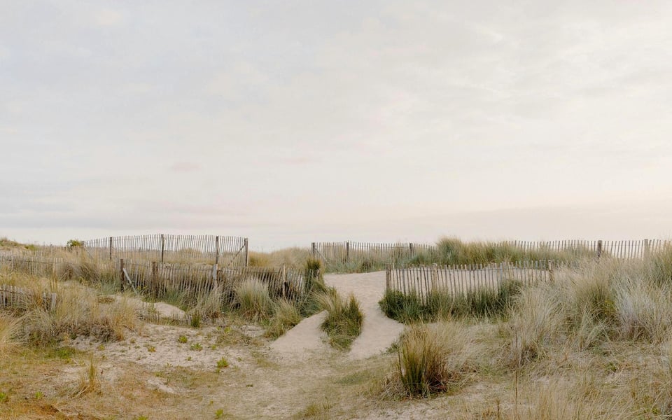 Love Where You Live: What Makes the Hamptons So Special | Blog | Susan ...