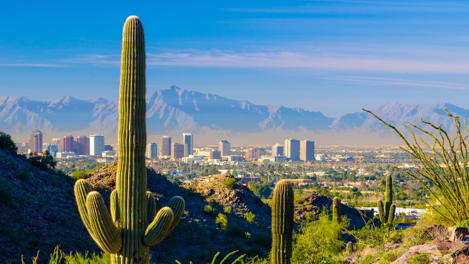 Phoenix | Neighborhood Guide