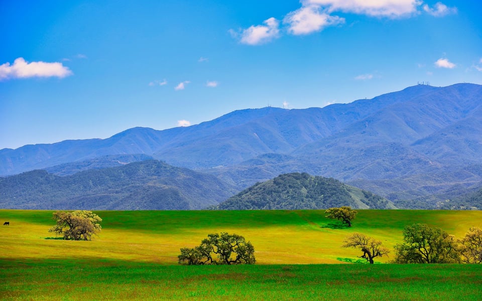 Santa Ynez Valley, CA Real Estate & Homes for Sale | Alemann & Associates