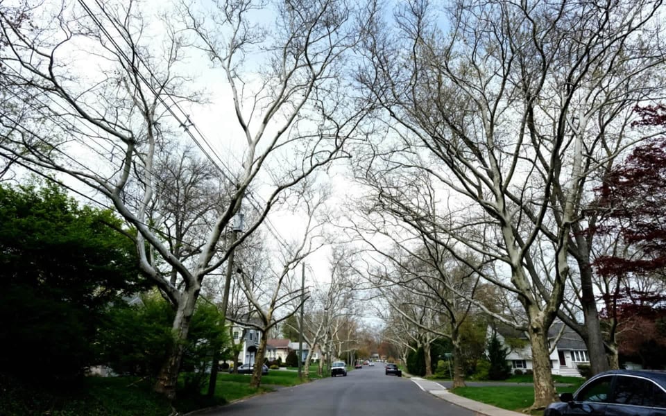 Top Attractions in Morristown: What to See Today