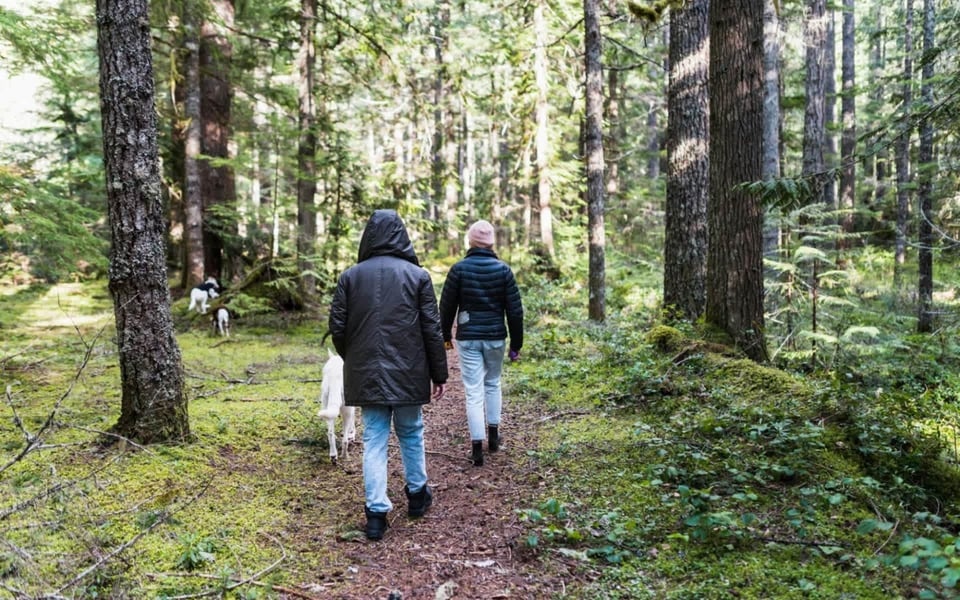 Hiking in Harding Township: Best Trails to Explore