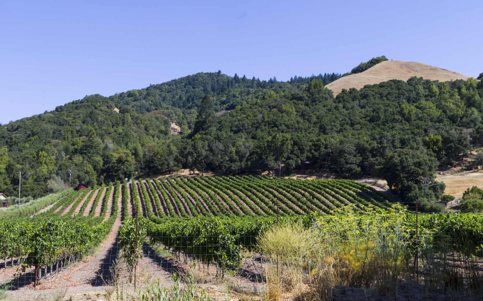Santa Rosa Ca Elevation Wallpaper 8k