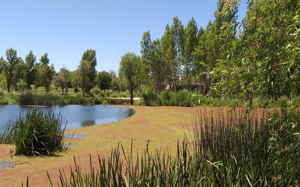 Riverside il area guide riverside il realtor gagliardo group