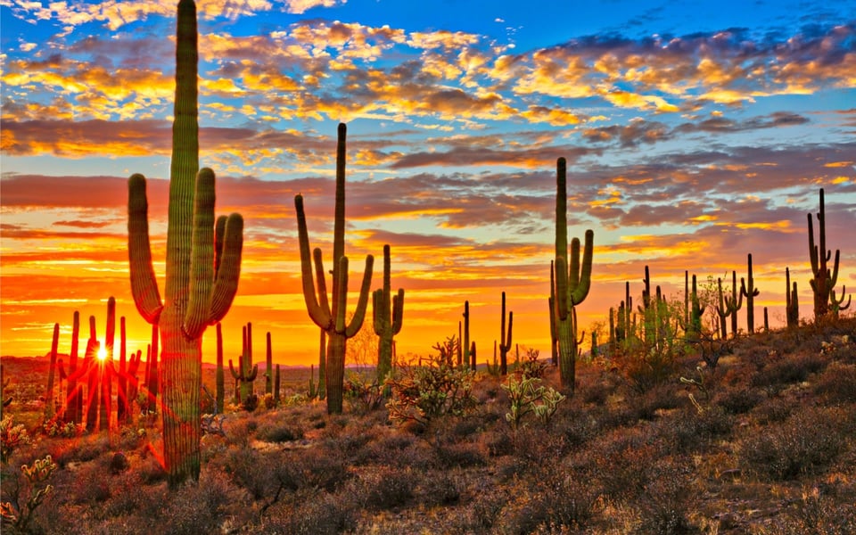4 Ways to Get Outside in Tucson, AZ This Summer | Tracy Wood