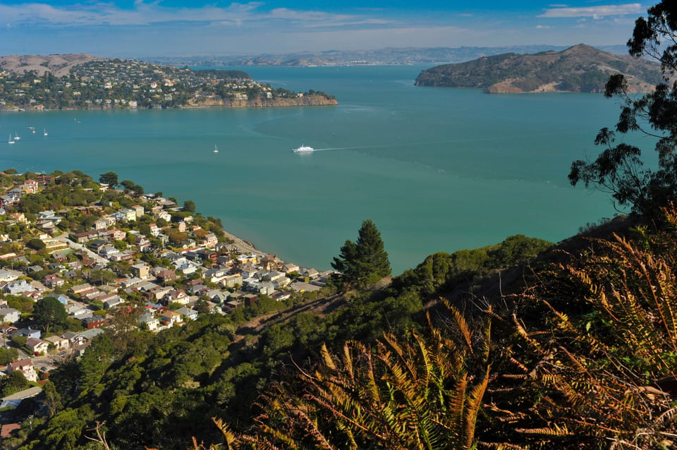 Wolfback Ridge, Sausalito, CA | Neighborhood Guide | Real Estate ...