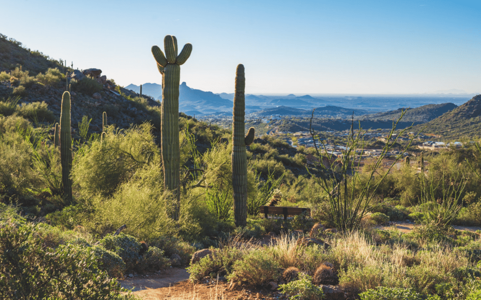A Guide to Scottsdale, AZ, Parks | Blog | Craig Bennett Group