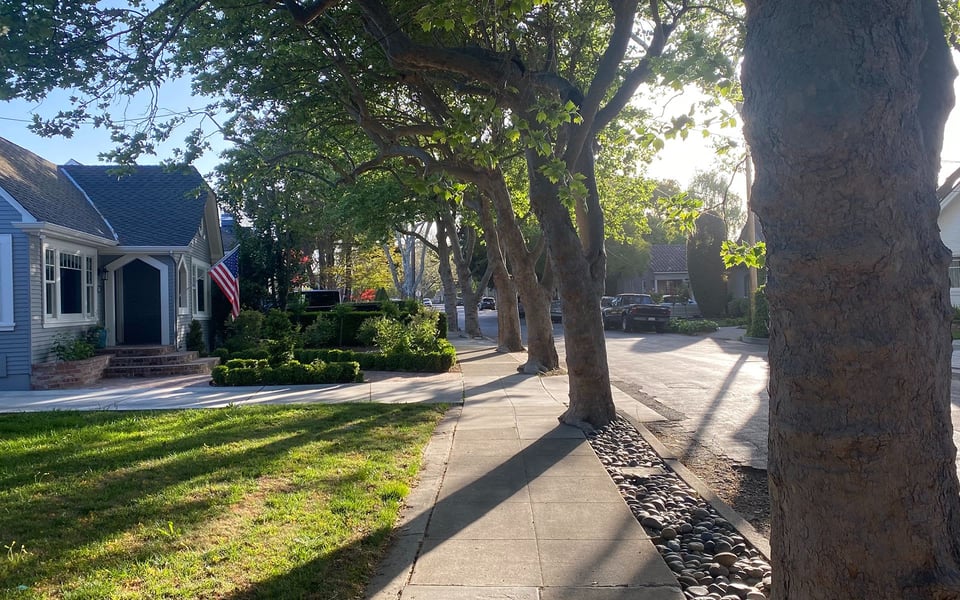 Willow Glen San Jose Real Estate Guide | Suzanne Freeze