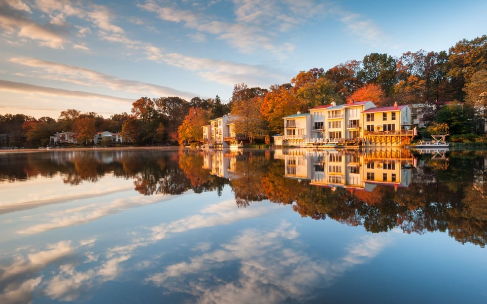 Reston | Area Guide