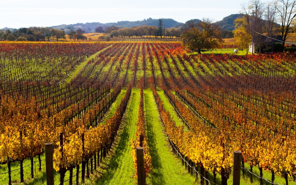 Neighborhood | Santa Rosa, California Homes For Sale