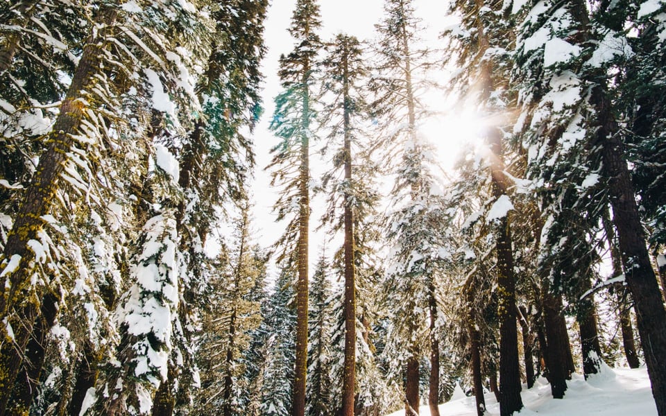 Castle Pines | Neighborhood Guide