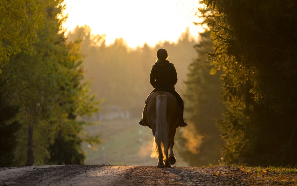 Springwater | Neighbourhood Guide | Dean Swanson