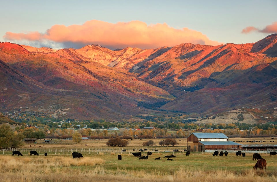 Midway in Utah - A Charming Neighborhood with Swiss
