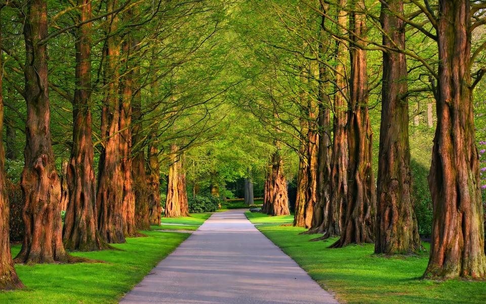 A Guide to North Dallas Parks | Blog | Rajin Patel