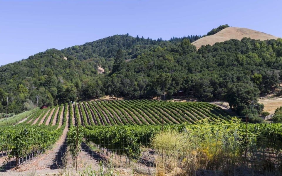 Santa Rosa | Community Guide | Jameson Junk