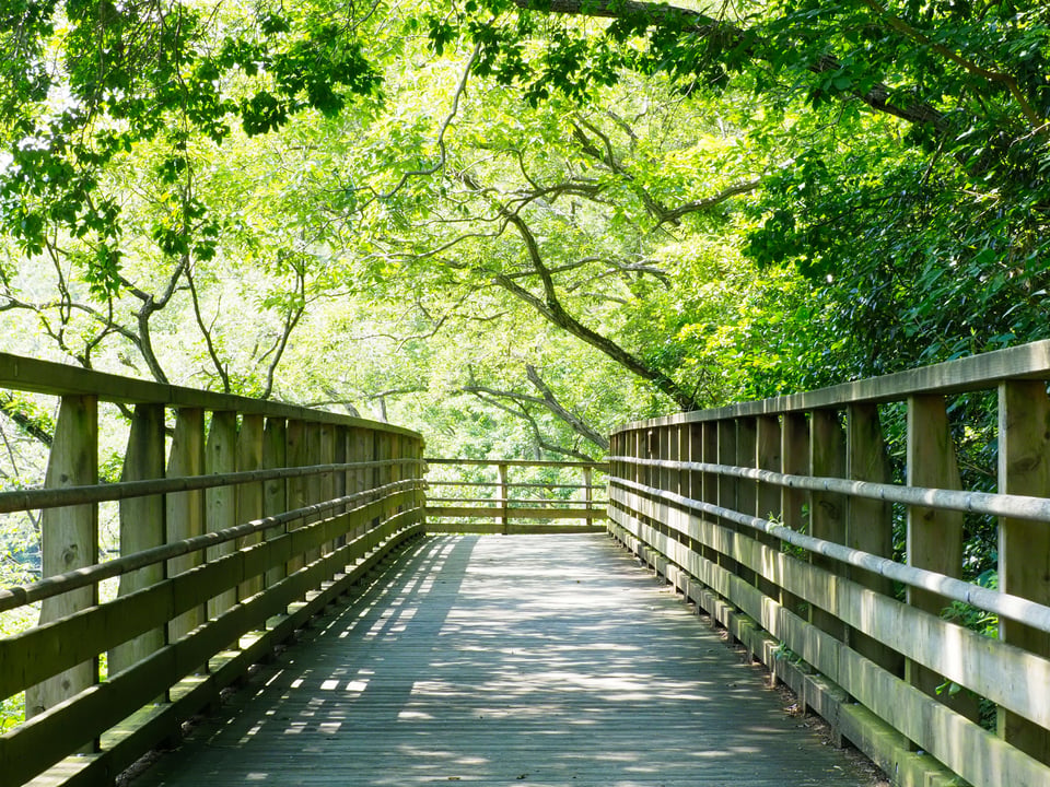 Boxborough, MA Real Estate: Find Your Dream Home
