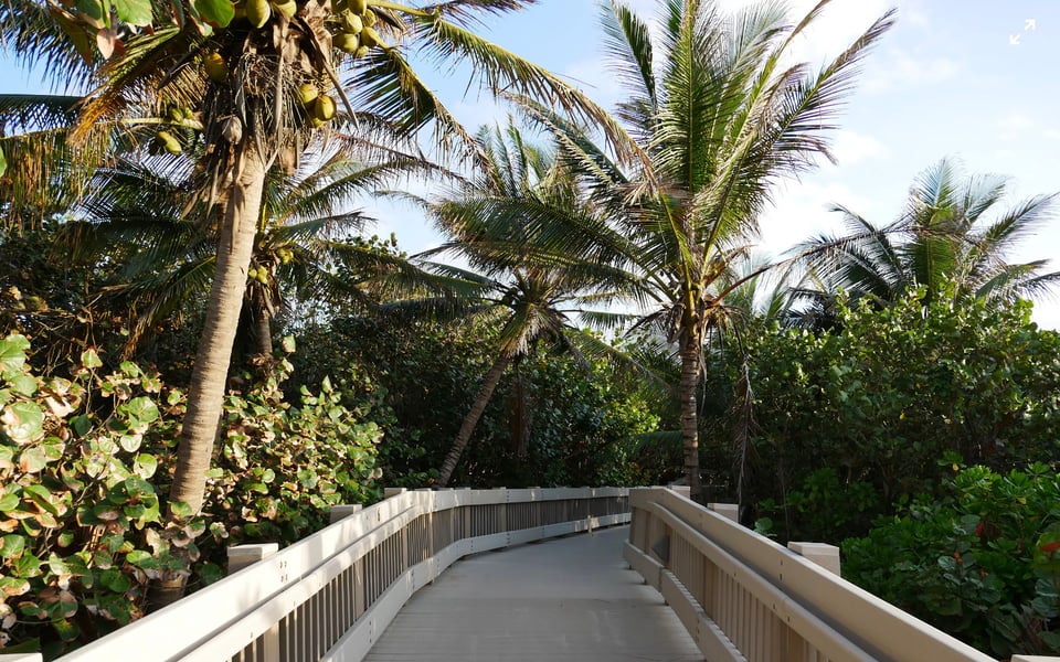 Boca Raton Parks Guide to the Best Outdoor Escapes